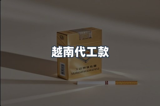 越南代工款